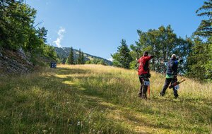 Championnat départemental tir campagne 2024